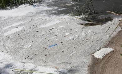 В Роспотребнадзоре рассказали, будут ли закрывать пляж в Боровом из-за солярки