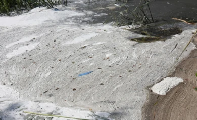 В Роспотребнадзоре рассказали, будут ли закрывать пляж в Боровом из-за солярки