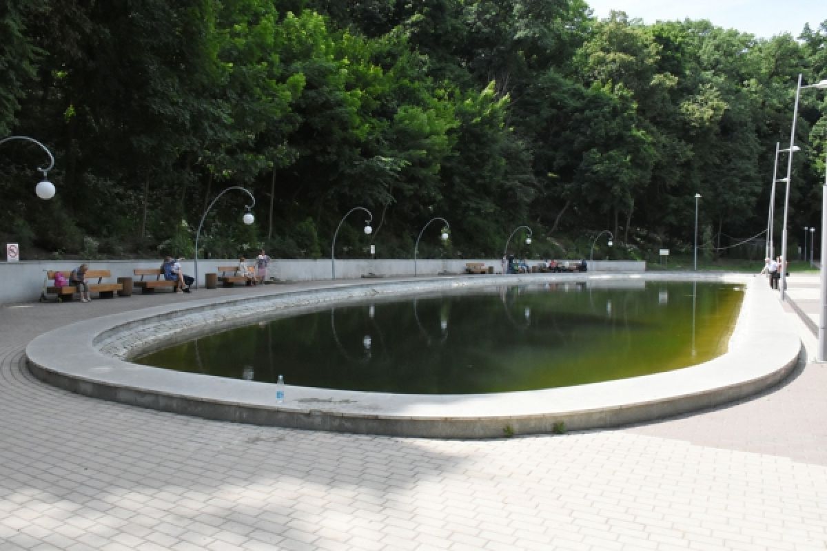 В Воронеже девушка спасла 5-летнего мальчика, тонувшего в озере парка «Динамо»