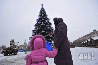 За установку ёлки на площади Ленина мэрия Воронежа готова заплатить 1,7 миллиона