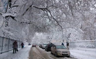 Воронежцев ждут солнечные и морозные выходные
