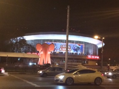 Что у воронежского цирка делает огромный оранжевый слон? 