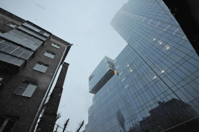 Бывший главный архитектор региона попросила быть терпимее к облику Воронежа
