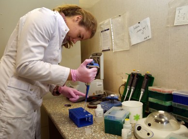 Что добавляют в роллы вместо икры летучей рыбы и можно ли пить наше молоко?