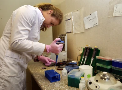 Что добавляют в роллы вместо икры летучей рыбы и можно ли пить наше молоко?