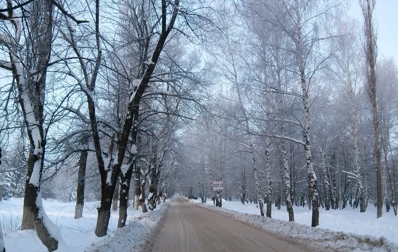 На выходных морозы в Воронеже ослабнут