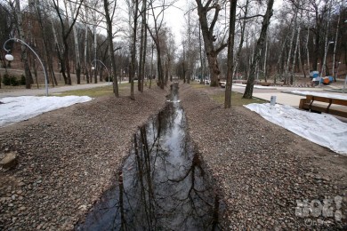 Воронежцы предложат властям свои идеи преображения Центрального парка