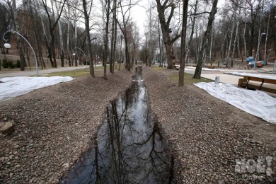 Воронежцы предложат властям свои идеи преображения Центрального парка
