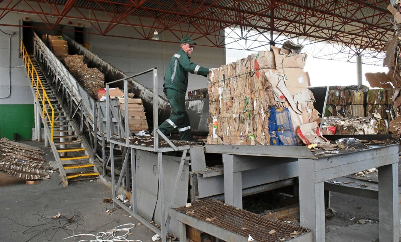 Воронежцев пригласили принять участие в опросе о сборе мусора
