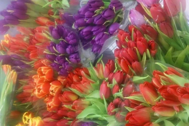 8 Марта Воронеж пережил цветочный бум