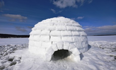 Воронежцы рассказали, как построили на водохранилище эскимосское жилище