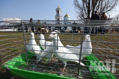 Воронежцев призывают не покупать птиц на Благовещение