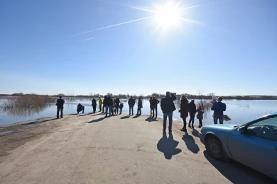 Разлив Дона стал аттракционом для воронежцев