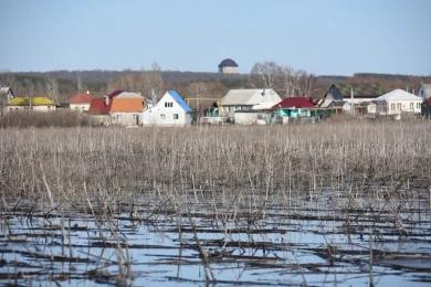 Уровень воды в Дону продолжает повышаться
