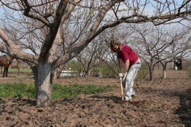 На майские праздники воронежцам пообещали летнюю погоду
