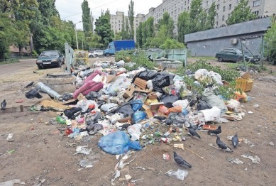 В Воронеже плата за вывоз мусора может вырасти в четыре раза