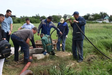 Отравившихся мышьяком брата и сестру перевели из реанимации в обычную палату
