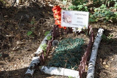 Горожане просят создать в Воронеже кладбище домашних животных
