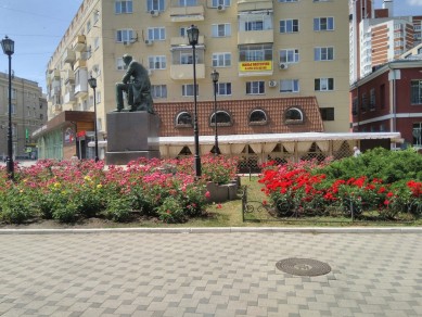 Солнечно и тепло будет во вторник в Воронеже