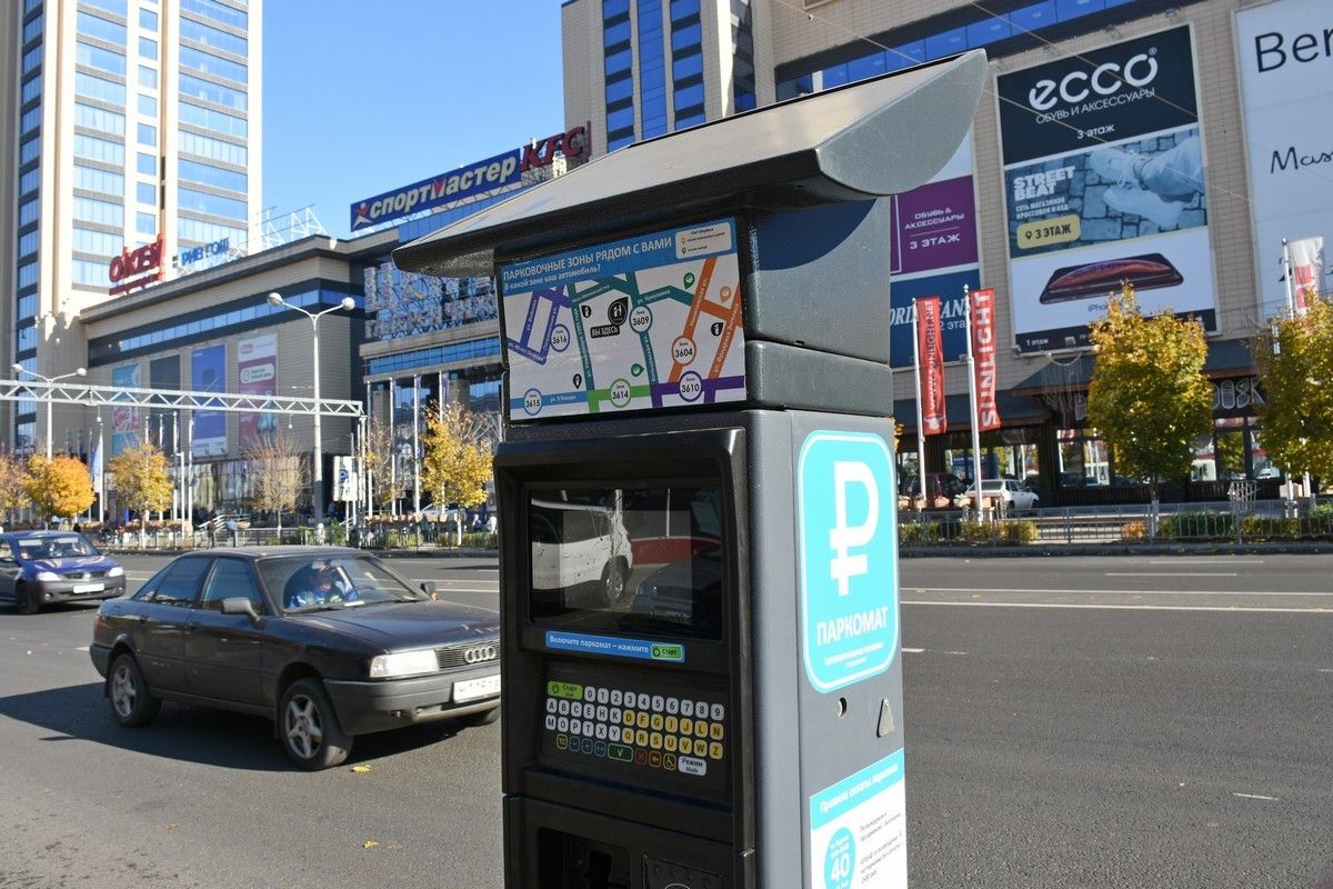 Для многодетных семей Воронежа платные парковки хотят сделать бесплатными