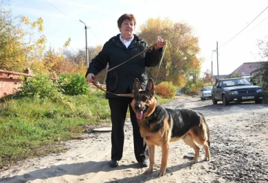 «Мы с Мухтаром никогда не пройдём мимо лежащего человека»