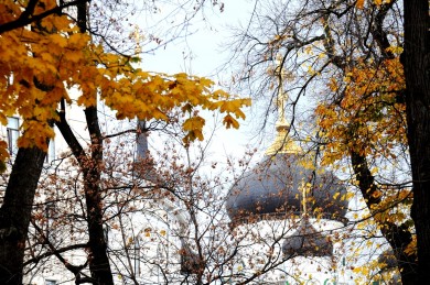 В Воронеже начало ноября будет тёплым и солнечным