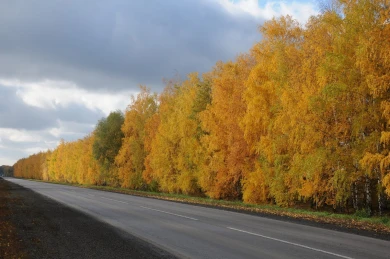 В Воронежской области отремонтировали три важных участка на трассе М4 «Дон»

