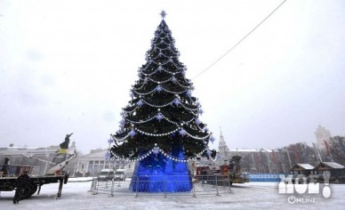 На установке главной новогодней ёлки в Воронеже сэкономят 600 тысяч рублей