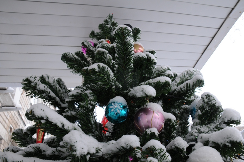 На воронежца завели уголовное дело за рубку ёлок к Новому году