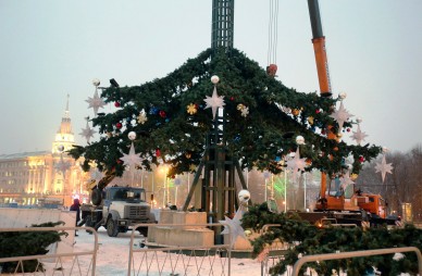 Почему Воронеж мог остаться без новогодней ёлки на площади Ленина