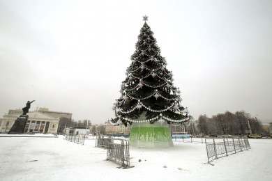 Воронеж вошёл в топ-10 российских городов с самыми высокими новогодними ёлками
