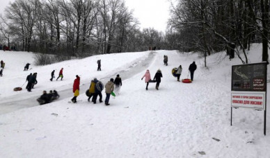 На горках парка «Динамо» воронежцы разбиваются о деревья и машины

