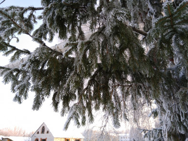 В Воронеже резко потеплеет и начнутся снегопады

