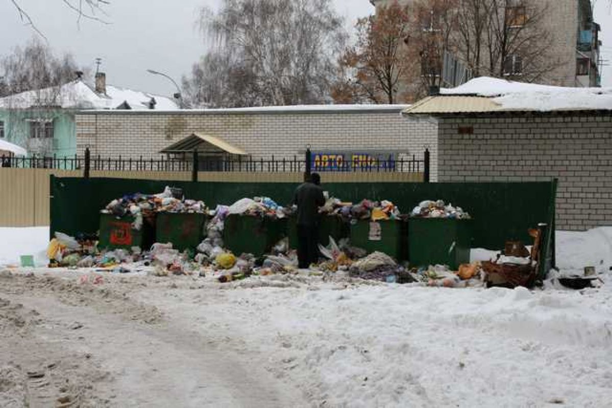 Воронежцам предложат платить за вывоз мусора не по нормативу, а по факту