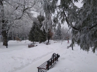 Воронежцам пообещали арктические морозы на выходных
