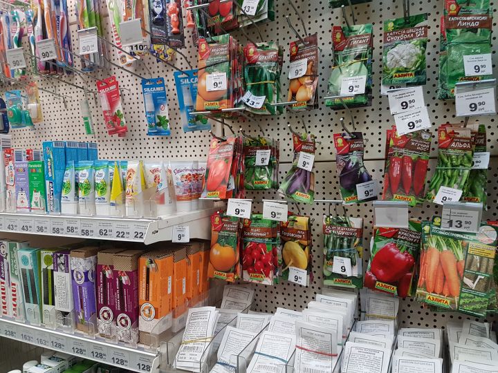 Как в Воронеже обманывают с семенами