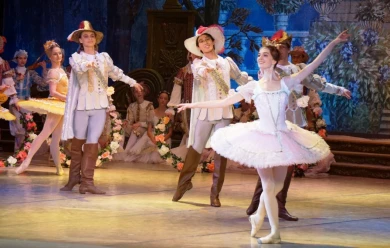 Премьера «Спящей красавицы» в Воронеже: пачки вручную расшивали в Москве