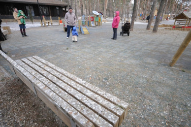 Власти Воронежа объявили аукцион на право торговать в парках
