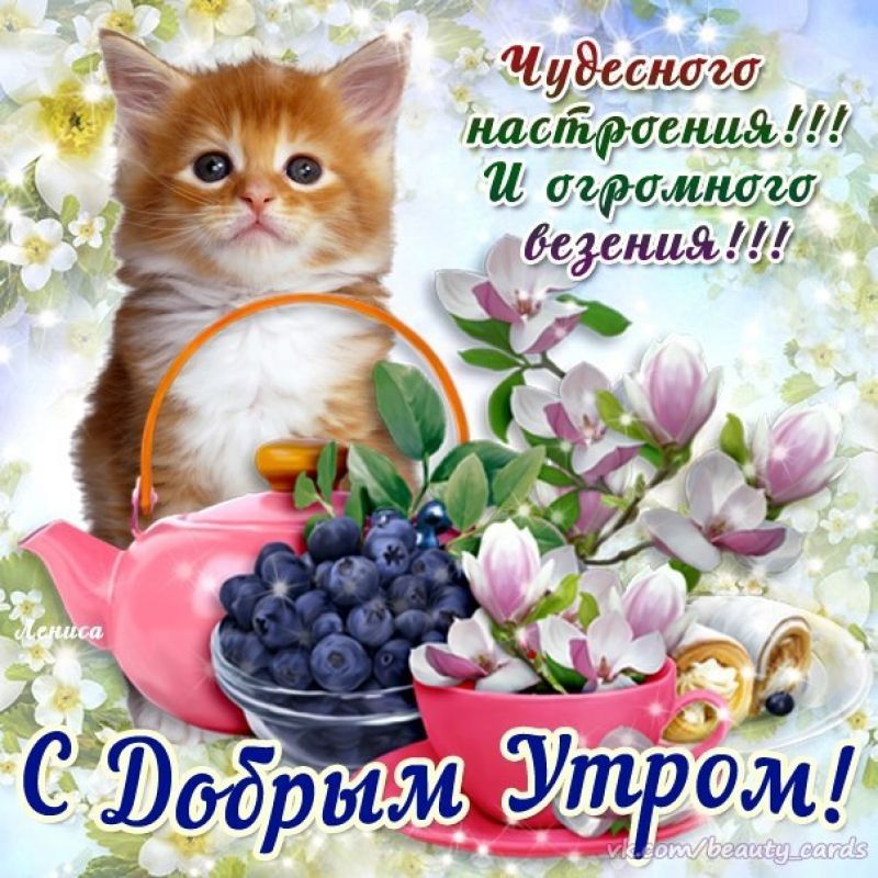 Доброе утро автомобильное