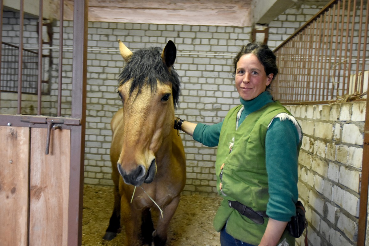 Итальянская путешественница в Воронеже чуть не потеряла коней