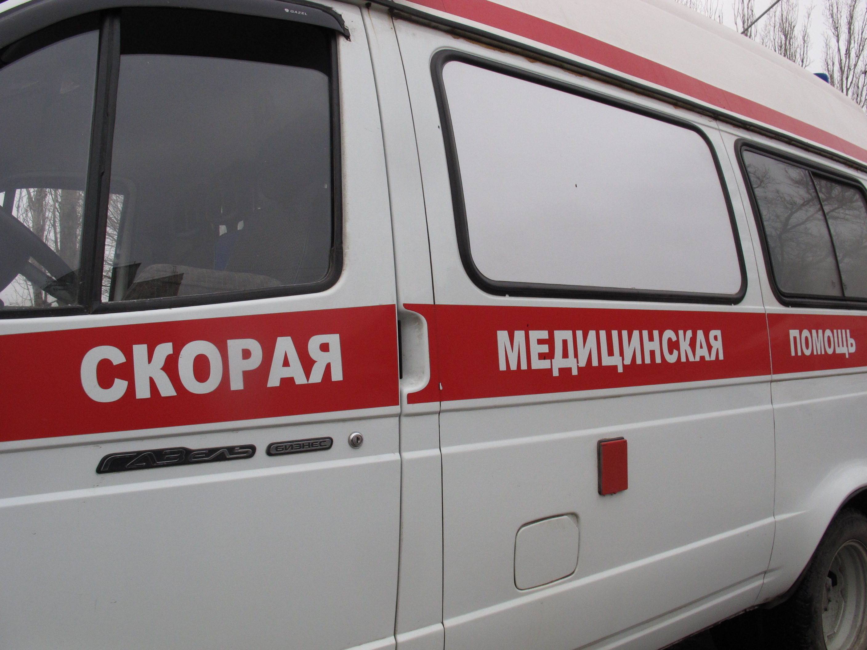 В Воронежской области легковушка на трассе насмерть сбила мужчину