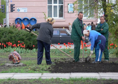 Синоптики прогнозируют резкое похолодание и грозы в Воронеже
