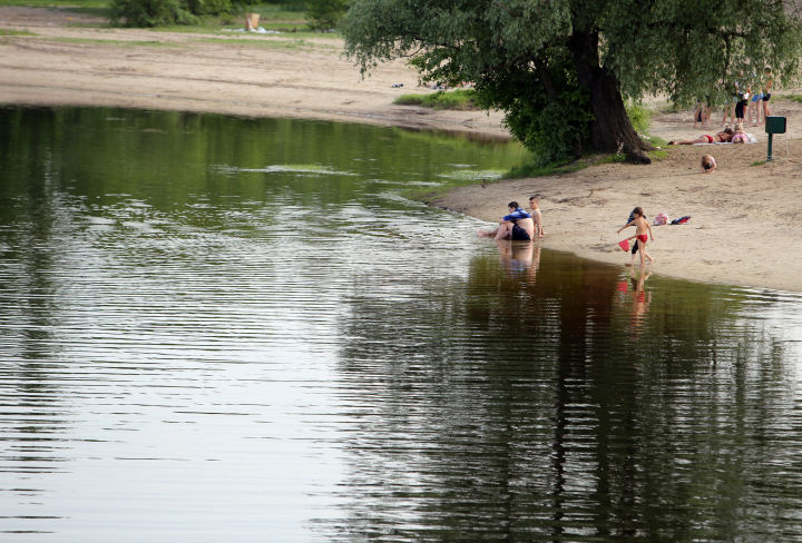 Воронежцы смогут добраться до популярного пляжа на электричке