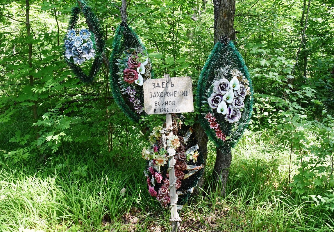 В Воронеже ищут добровольцев для уборки на братском захоронении