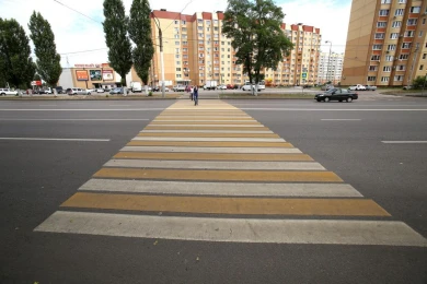 В ГИБДД пообещали все опасные воронежские переходы снабдить светофорами