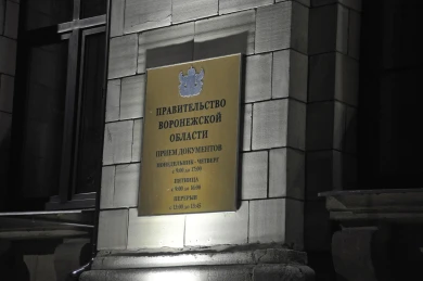 Глава воронежского Росздравнадзора получил работу в правительстве области
