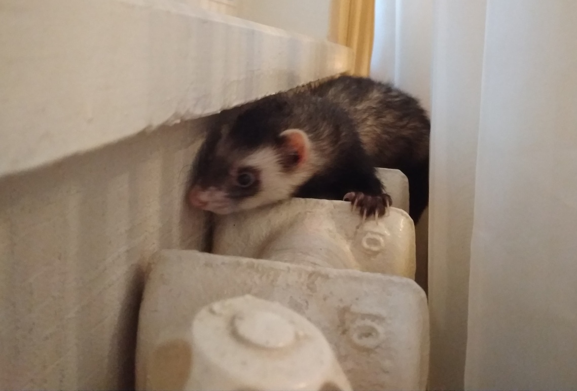 В Воронеже без тепла остаются 145 домов