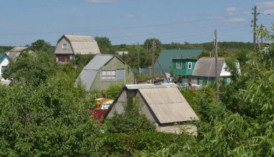 В Воронежской области подскочили цены на дачи
