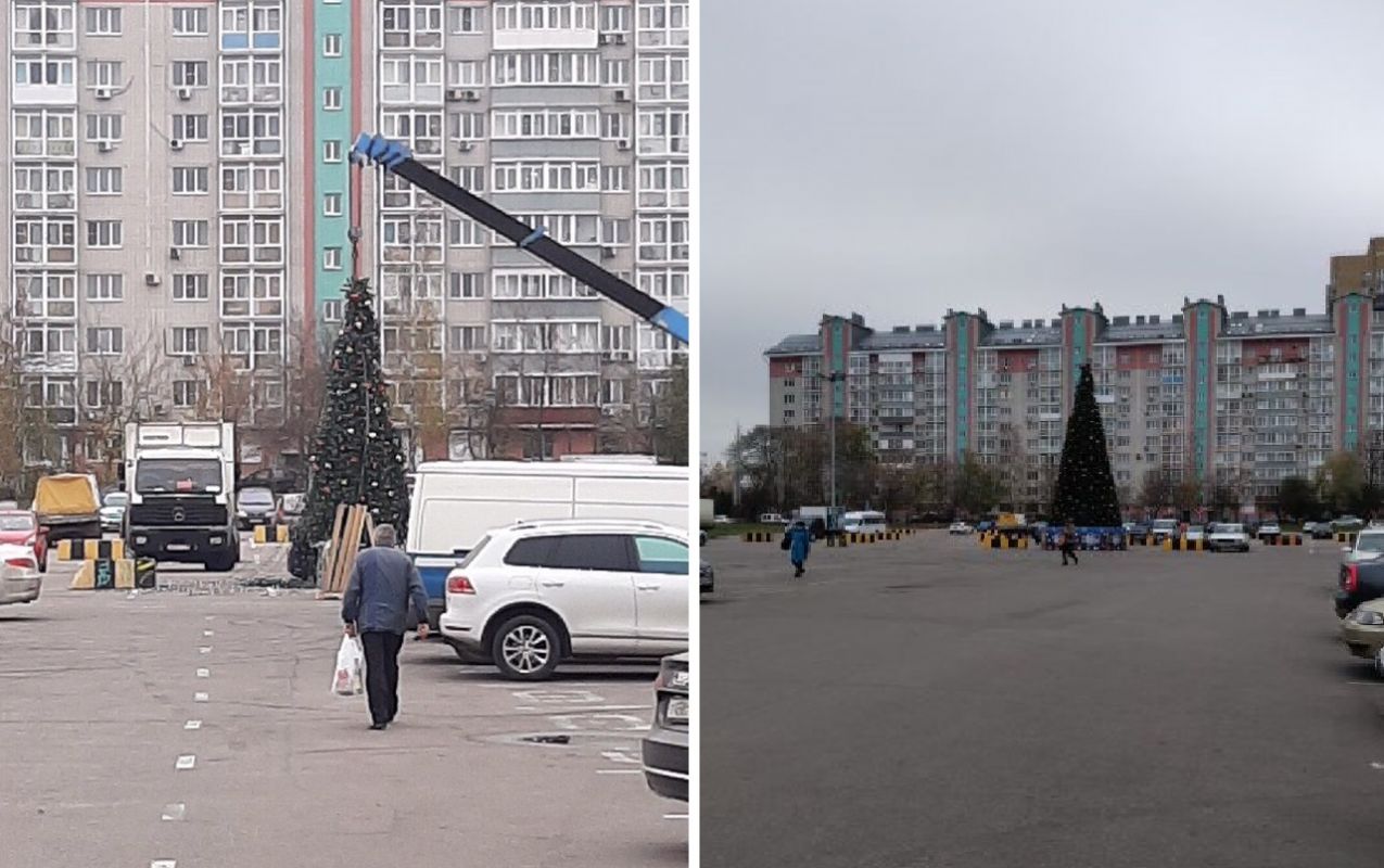 Установка воронеж. В Воронеже поставили елку. Воронеж обычные улицы. Воронеж обычные фото. Ранее установленные фото.