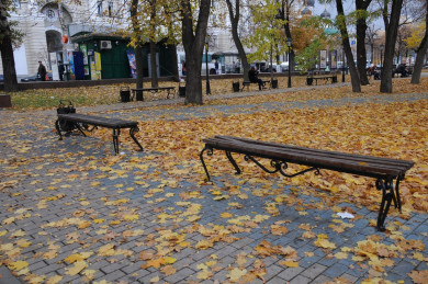 Синоптики рассказали о погоде в Воронеже на праздничных выходных
